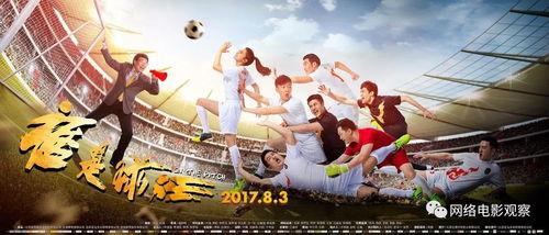 谁是球王电影在线观看,揭秘足球传奇，重温经典瞬间  第2张